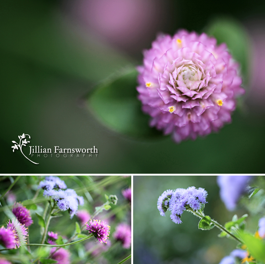 Nauvoo Wedding Photographer_11