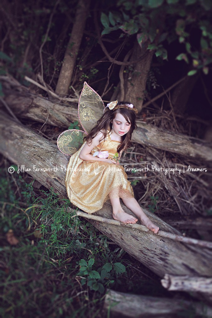 Fairy themed photography session_Saint Louis_JillianFarnsworth_dreamer_2