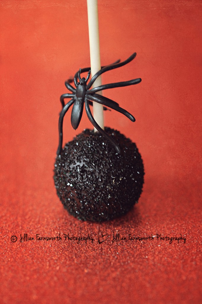 Halloween Cake Pops_cake pops by liz_jillianfarnsworthphotography_8